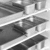 Armadio Refrigerato Negativo GN 2/1 - Inox - 555 L | TEFCOLD