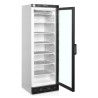 Vetrina congelatore statica porta in vetro - Bianco - 270 L | TEFCOLD UFSC371G