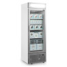 Vetrina Congelatore Porta Vetrata con Canopy Silver - 440L TEFCOLD: presentazione ottimale dei tuoi prodotti surgelati