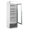 Vetrina Congelatore Porta Vetrata con Canopy Silver - 440L TEFCOLD: presentazione ottimale dei tuoi prodotti surgelati