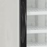 White vertical freezer display - 1 glass door - 412L - TEFCOLD