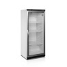 Positive Glass Door Refrigerated Cabinet - White - GN 2/1 - 570 L TEFCOLD: Freshness and Efficiency