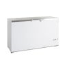 Stainless Steel Ice Chest Freezer - 454 L | TEFCOLD