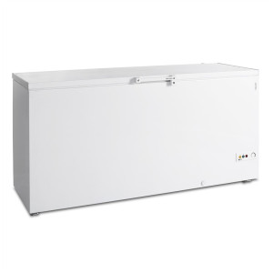 Congelatore a Pozzetto TEFCOLD - Bianco - 557 L: un congelatore professionale performante