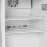 Ventilated Negative Stainless Steel Refrigerated Cabinet 120 L TEFCOLD - Professional Quality