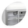 Mini Armadio Refrigerato TEFCOLD 60L con Canopy e 2 Porte in Vetro