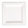 Square compostable bagasse plates 261 mm - Pack of 50 - Eco-friendly and practical