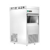 Macchina per Ghiaccio Tritato 85 Kg Dynasteel - Potenza ottimale, stoccaggio massimo
