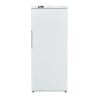 Ventilated Refrigerated Cabinet 527 L +2/+8 °C — Solid Door