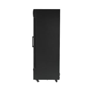 Vetrina per Bevande 736 L 2 Porte in Vetro 2-8 °C R290