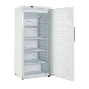 Armadio Congelatore Bianco Ventilato - 600 L - Dynasteel