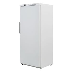 Armadio Congelatore 510 L Ventilato -18/-22°C Bianco