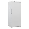 White Ventilated Freezer Cabinet - 600 L - Dynasteel