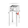 Barbecue a Gas Professionale Grill-Master Mini - Marca HENDI - Fourniresto