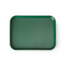 Rectangular Fast Food Tray - Small Size 265 x 345 mm - Green