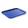 Plateau Rectangulaire Fast Food - Grand Modèle 450 x 350 mm - Bleu