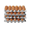 HENDI OVOBOX 120 egg trays for professional storage