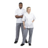 Pantaloni da cucina unisex Vegas a quadretti blu e bianchi - Taglia L - Whites Chefs Clothing - Fourniresto