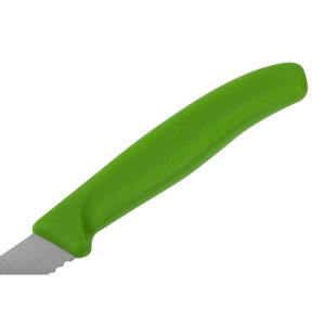 Coltello da cucina verde lama dentata 8 cm - Victorinox - Fourniresto