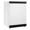 Armadio Refrigerato Positivo - Bianco - 129 L - TEFCOLD