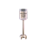 MicroMix emulsionatore Robot Coupe 39400