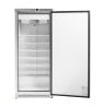 Armadio Congelatore 590 L Inox Freddo Ventilato -22 °C