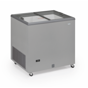 Congelatore Porte Scorrevoli in Vetro - 220 L
