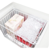 Congelatore a Pozzetto con Coperchio Inox - 378 L