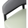 Meridian Armchairs in Gray / Pistachio - Set of 2