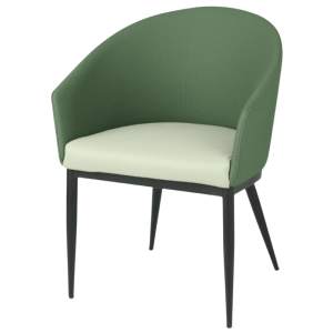 Meridian Armchairs in Green - Set of 2