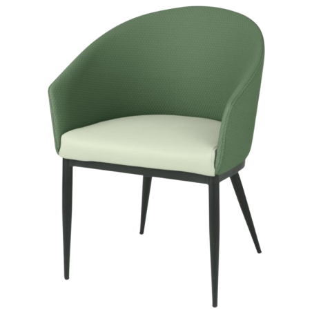 Meridian Armchairs in Green - Set of 2
