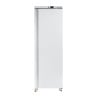 Armadio Congelatore 380 L Freddo Ventilato -18/-22 °C