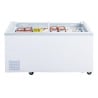 Negative Refrigerated Display Cabinet Series G 500L - Polar