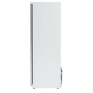 Armadio Congelatore 400 L Vetrato Freddo Ventilato -18/-22°C
