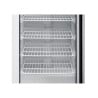 Armadio Congelatore 400 L Vetrato Freddo Ventilato -18/-22°C
