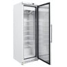 Armadio Congelatore 400 L Vetrato Freddo Ventilato -18/-22°C