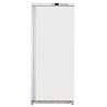 Armadio Congelatore 590 L Freddo Ventilato -18/-22°C