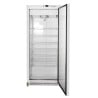 Armadio Congelatore 590 L Freddo Ventilato -18/-22°C