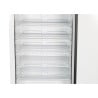 Armadio Congelatore 590 L Freddo Ventilato -18/-22°C