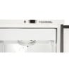 Armadio Congelatore 590 L Freddo Ventilato -18/-22°C
