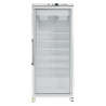 Armadio Refrigerato 555 Litri - Negativo Vetrato