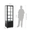 Vetrina Refrigerata Nera Serie C 235 L - Polar