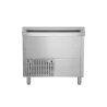 Frigorifero a Pozzetto per Bevande Inox - 440 L - TEFCOLD