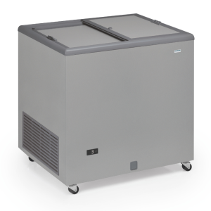 Congelatore a Pozzetto Professionale Inox e Coperchio Opaco - 300 L