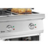 Friggitrice Elettrica - Serie 700 - 2 x 11 L