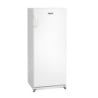 White Positive Refrigerated Cabinet - 270 L