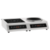 Piastra e Wok a Induzione - 7000 W
