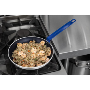 Non-stick Aluminum Frying Pan Teflon Plus Blue Handle 28cm - Gastronoble