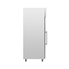 Armadio Refrigerato Positivo Vetrato 650 L Freddo Ventilato