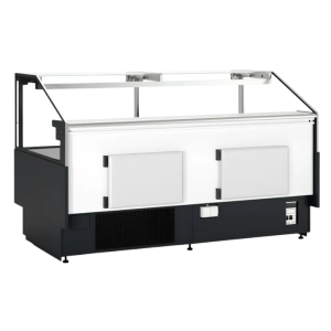 Vetrina di Servizio Premium per Pesce Fresco - 480 W